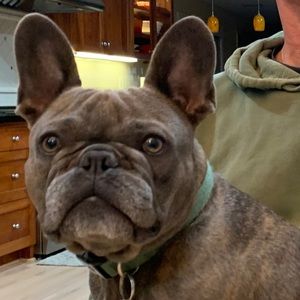 Meet your Posher, Denise